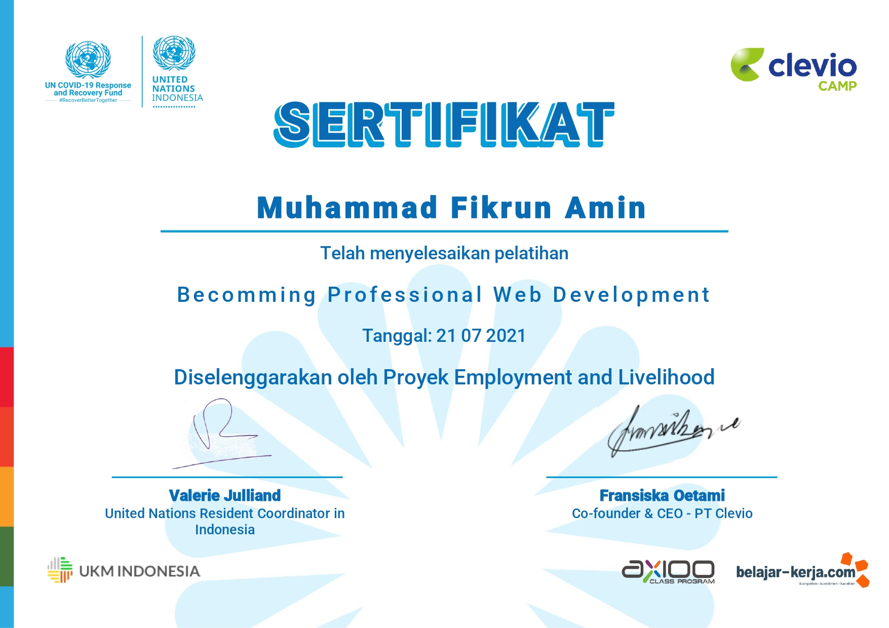 Becoming Professional Web Developer